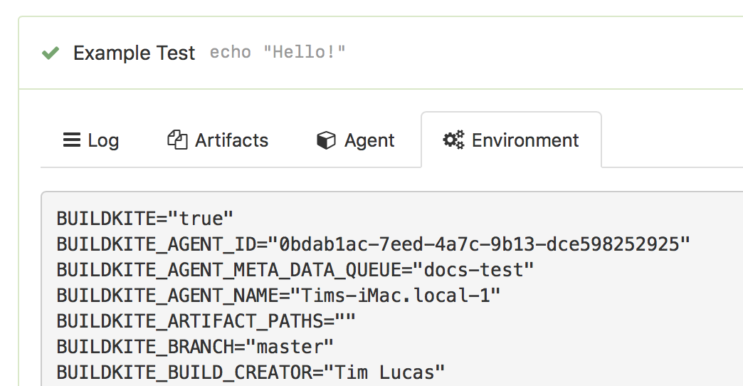 Screenshot of viewing a job’s environment tab
